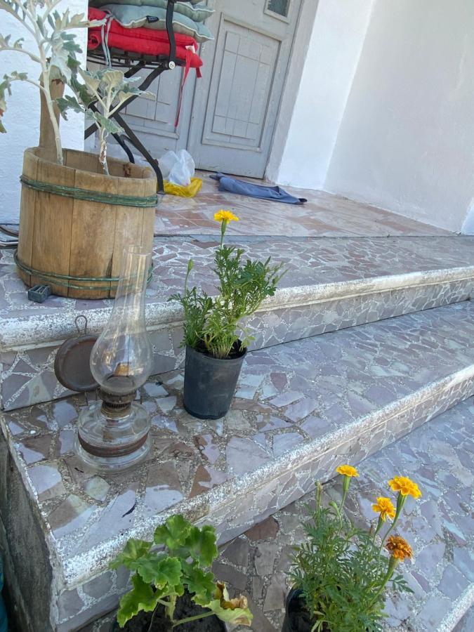 Rupa Guest House Camping Shkodër 外观 照片