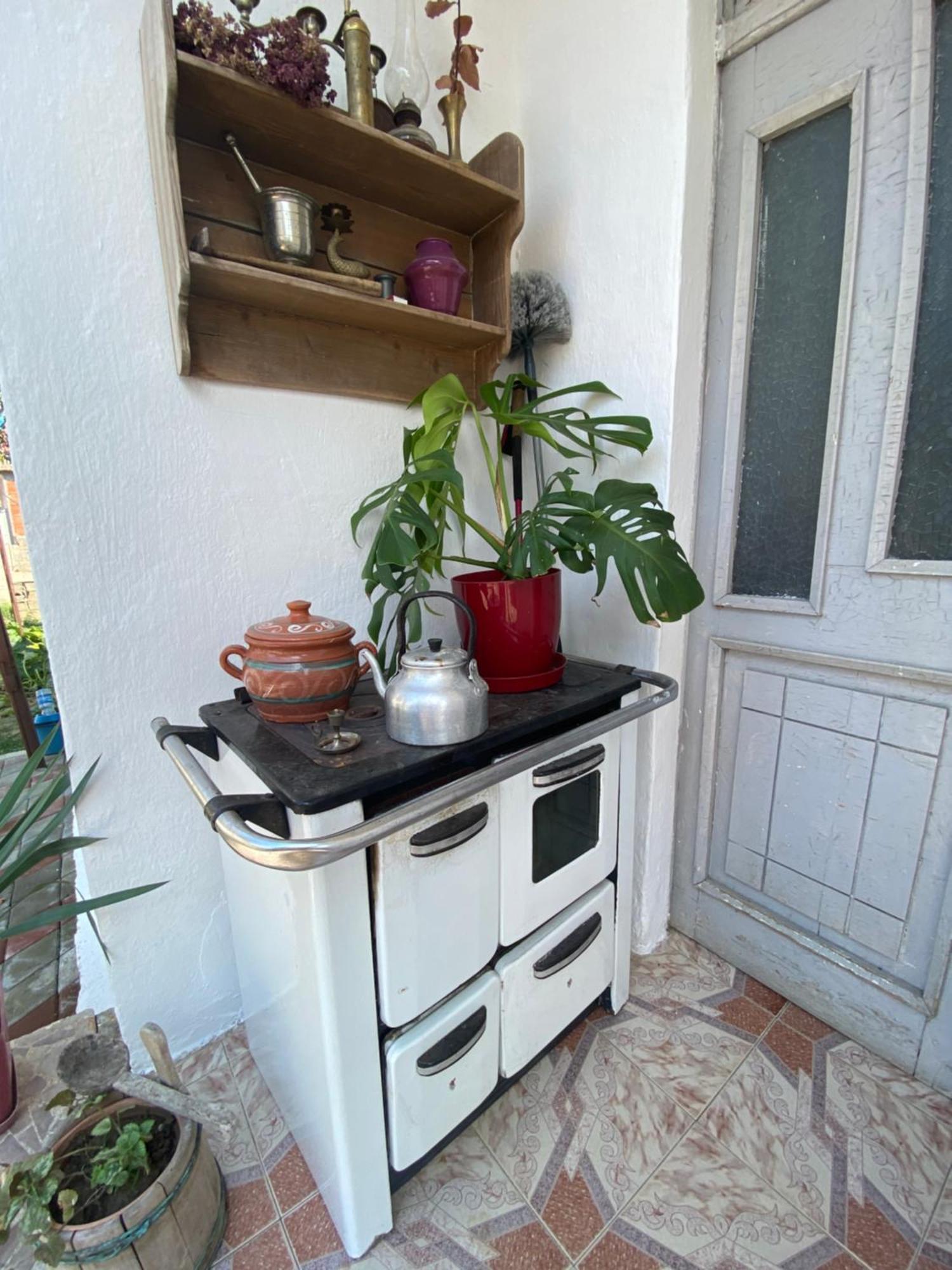 Rupa Guest House Camping Shkodër 外观 照片