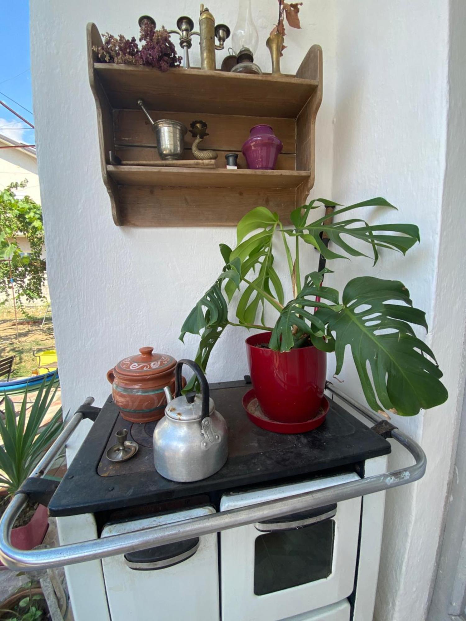 Rupa Guest House Camping Shkodër 外观 照片